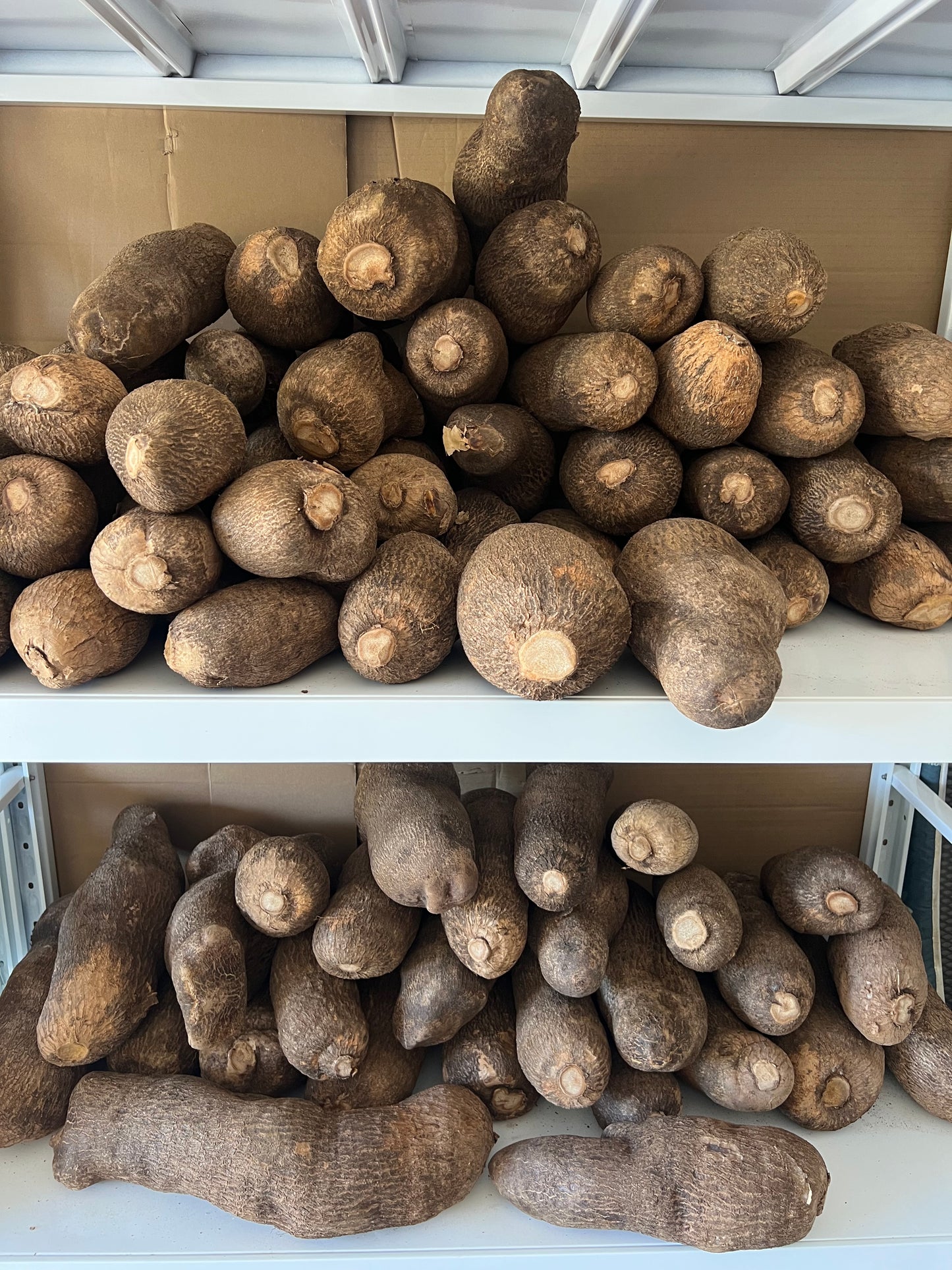 Fresh yam box (10kg)