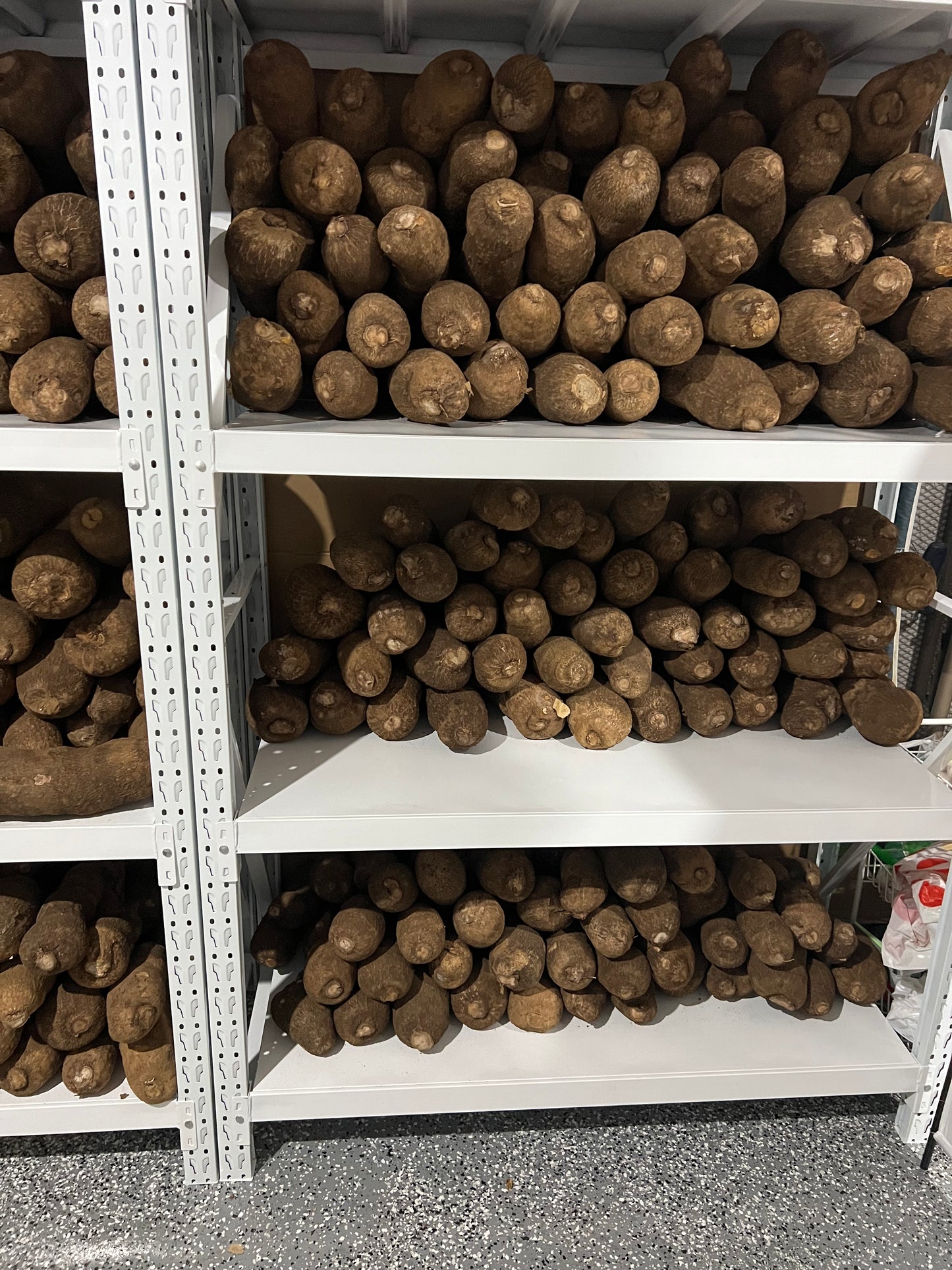 Fresh yam