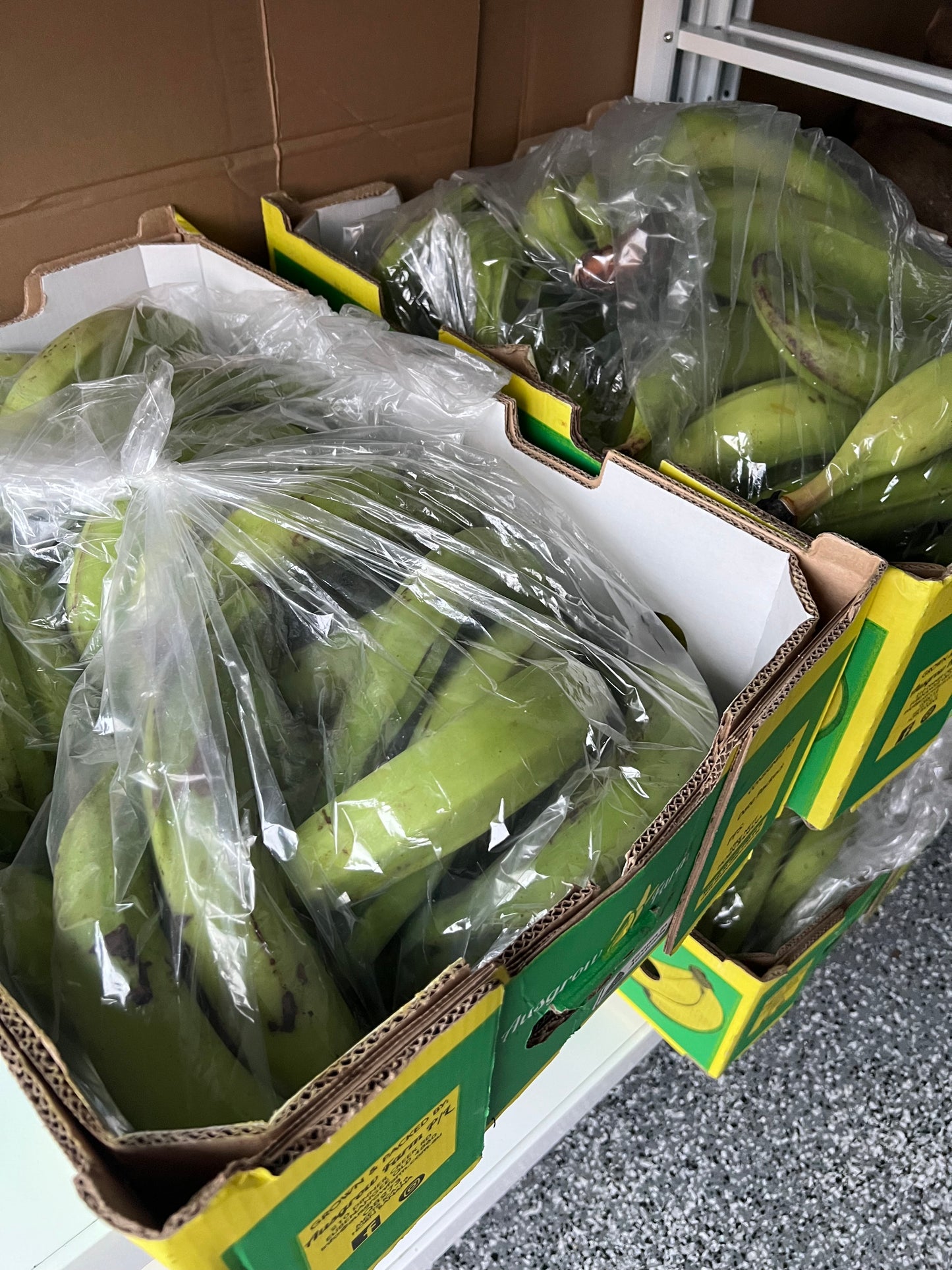 Fresh plantain