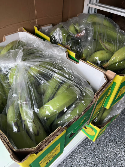 Fresh plantain
